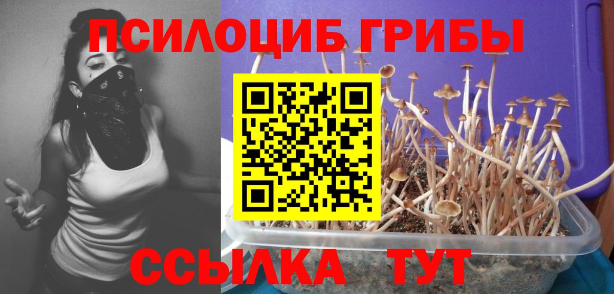 Псилоцибиновые грибы ЛСД  Вход с VPN  Славянск-на-Кубани  Галлюциногенные грибы мицелий 